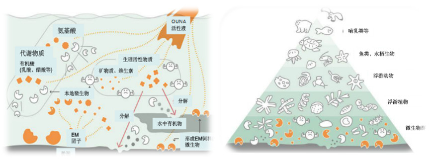 水環境治理與生(shēng)态修複