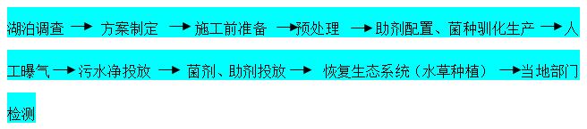 湖泊藍(lán)綠藻水體(tǐ)生(shēng)态修複(圖1)